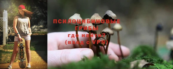 эйфоретик Алзамай